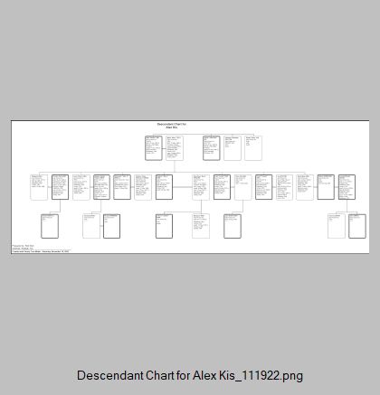 Descendant Chart for Alex Kis_111222.png